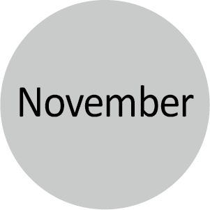 11月